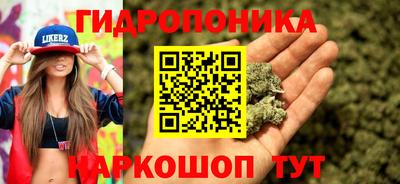 jwh Аргун