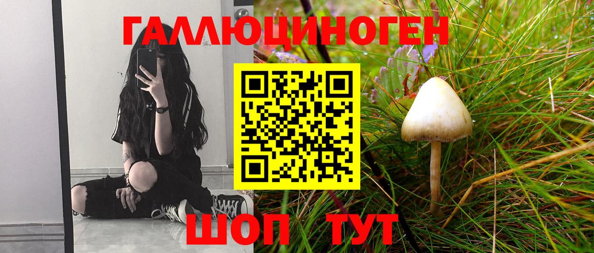 Богданович  Псилоцибиновые грибы Magic Shrooms  Вход с VPN  Галлюциногенные грибы ЛСД 