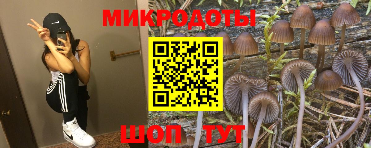 Галлюциногенные грибы ЛСД Богданович