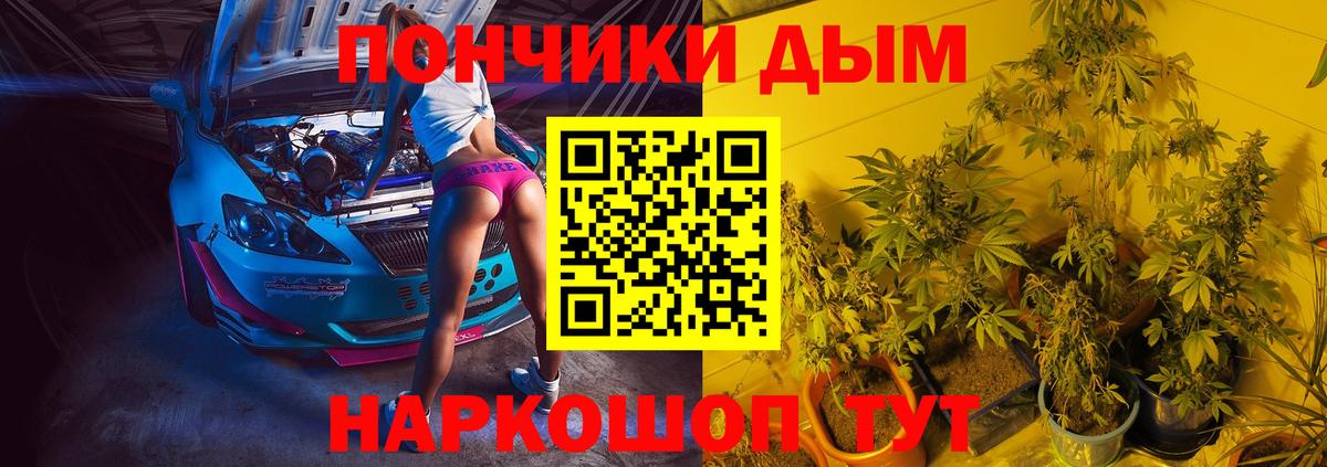 Конопля семена Богданович